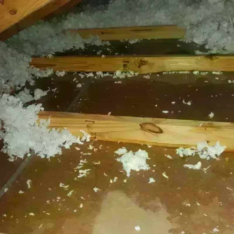 Attic Water Damage in Brown County, NE