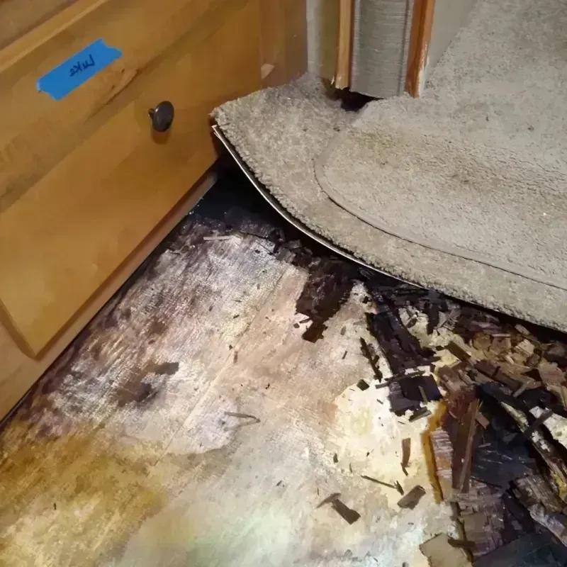 Wood Floor Water Damage in Brown County, NE